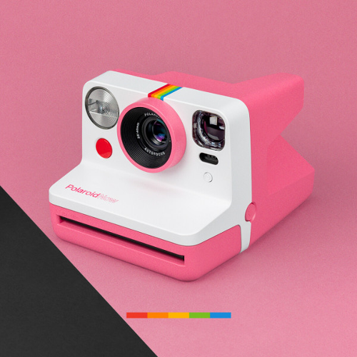 폴라로이드 나우 Polaroid Now (Pink) 뉴 컬러